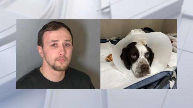 Michigan man charged with animal torture after 3-month-old puppy found with fractured skull