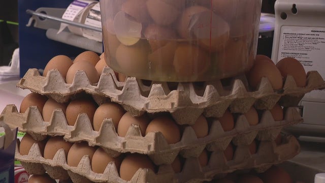 Bird Flu impacts: Metro Detroit business feeling pains from the cost of eggs