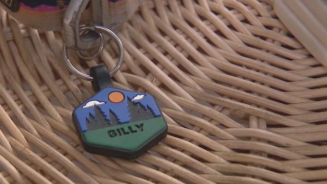 Taylor Hit & Run: Driver arrested in death of family dog