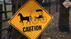 8-year-old girl, horse killed in southwest Michigan buggy crash