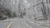 Michigan State Parks to reopen after devastating ice storms
