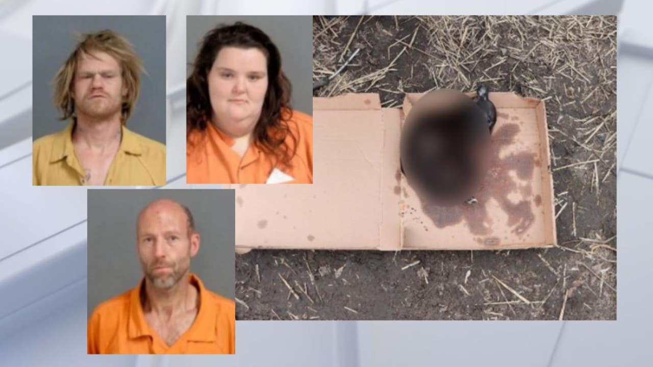 Three Arrested in Flint for Child, Animal Abuse; Dead Puppy Found in Pizza Box