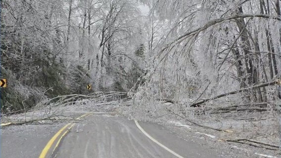 Michigan State Parks to reopen after devastating ice storms