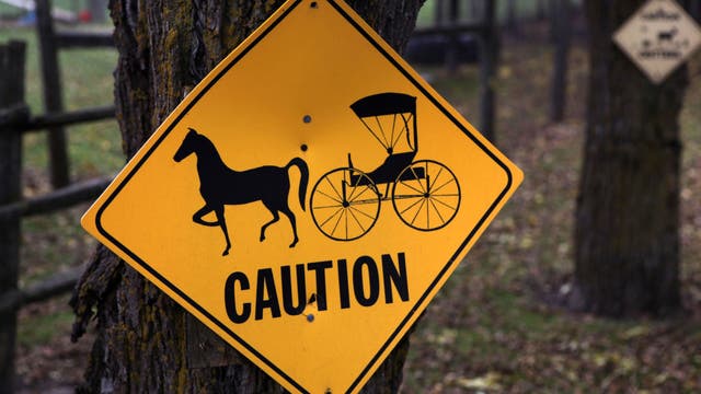8-year-old girl, horse killed in southwest Michigan buggy crash