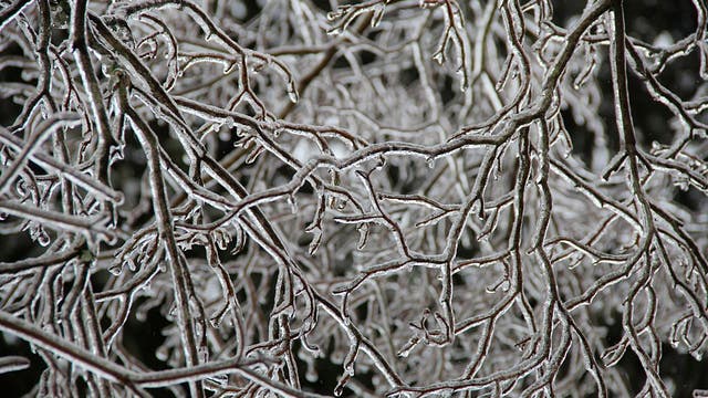 Northern Michigan ice storm knocks out power, downs trees, leads to activation state of emergency center