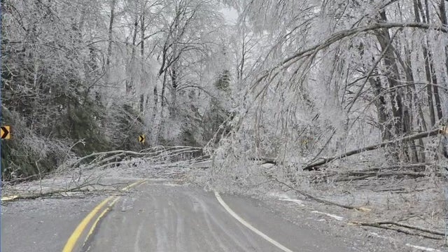 Michigan State Parks to reopen after devastating ice storms