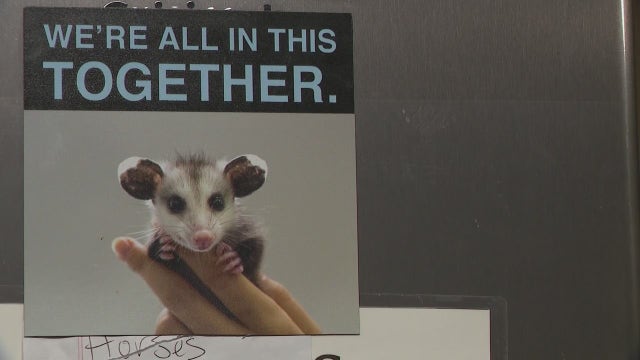 Detroit Animal Welfare Group in legal battle with DNR to keep their permit