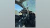 Turkey flies through truck's windshield near Fowlerville