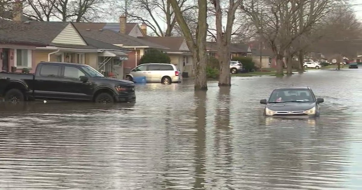 How much rain in Metro Detroit? Over 2.5 inches reported | FOX 2 Detroit