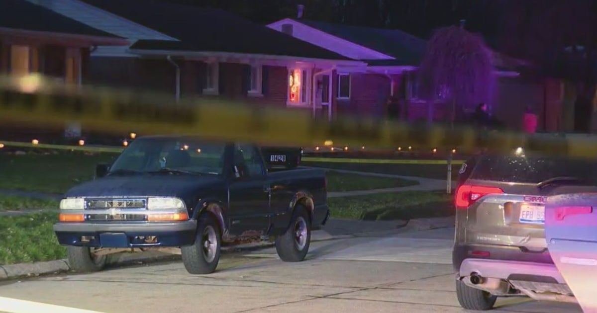 Domestic violence awareness: Multiple cases shake Metro Detroit | FOX 2 ...