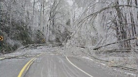 15 Michigan State Parks closed indefinitely due to historic ice storm
