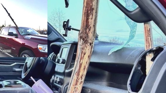 Massive tree branch crashes through driver's windshield; city says it isn't responsible