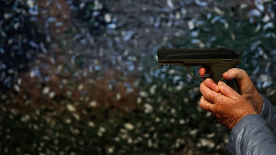 Center Line teen arrested after allegedly bringing CO2 pistol to school