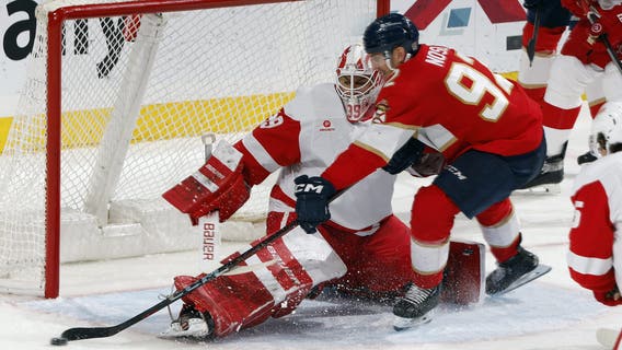 Panthers get 3 goals in the 2nd period, top Red Wings 4-1