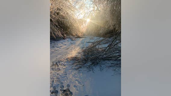 Most Michigan state park campgrounds expected to open on time after ice storm