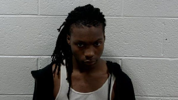 Roseville teen charged in 2024 shooting of Detroit 17-year-old