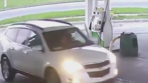 Detroit animal abuse: Driver drops two kittens at gas station, leaving one dead