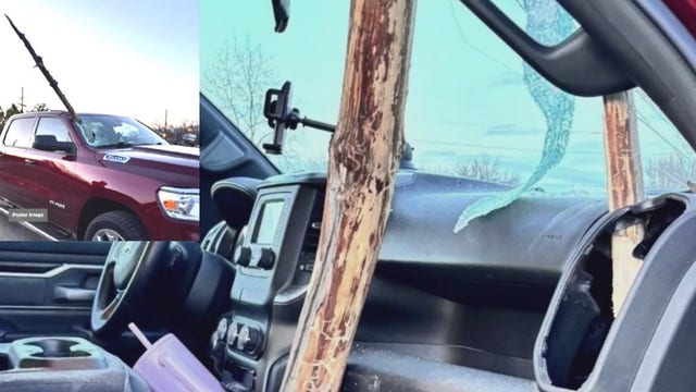 Massive tree branch crashes through driver's windshield; city says it isn't responsible