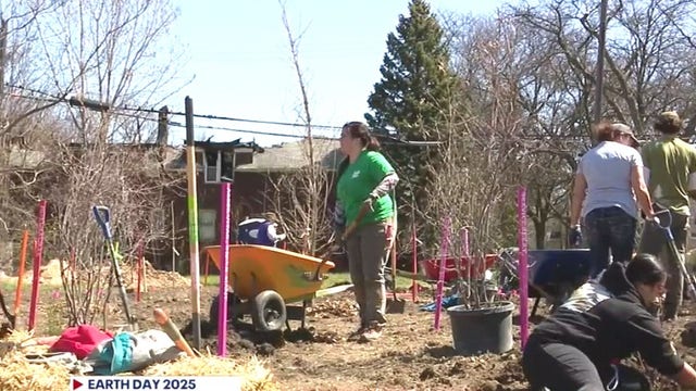 Detroit Earth Day sequoia project fills vacant lots near I-94, I-75
