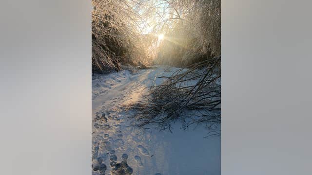 Most Michigan state park campgrounds expected to open on time after ice storm