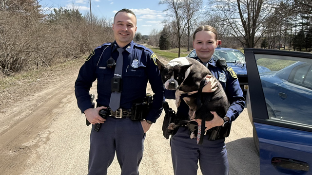 Potato, the dog, rescued by state police while running on highway