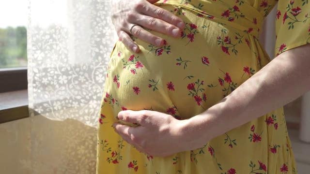 Surrogacy ban in Michigan lifted with new Family Protection Act