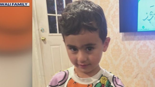 Witness: 4-year-old hit and killed by ice cream truck was trying to cross street