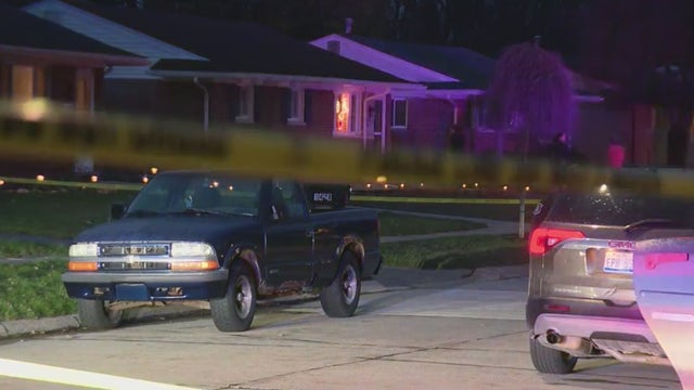 Domestic violence awareness: Multiple cases shake Metro Detroit