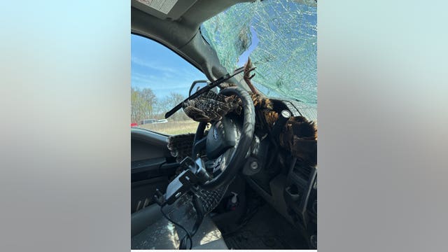 Turkey flies through truck's windshield near Fowlerville