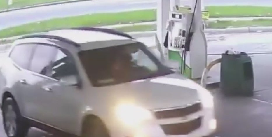 Detroit animal abuse: Driver drops two kittens at gas station, leaving one dead