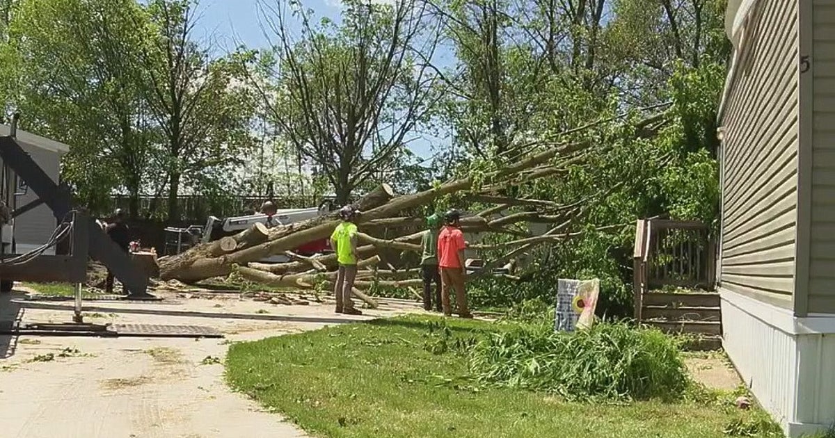 Sections of SE Michigan cleanup storm damage after severe weather ...