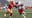 Panthers fall to Birmingham Stallions, await playoff rematch