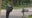 Monroe mailbox mayhem: Suspected drunk driver leaves trail of destruction