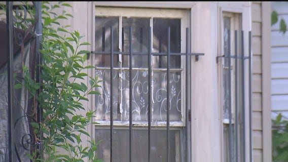 Detroit animal hoarding case leads to hazmat rescue, several dogs and cats found dead