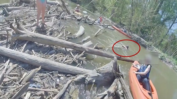 Kayak capsizes on Clinton River, Sterling Heights officer rescues trapped woman