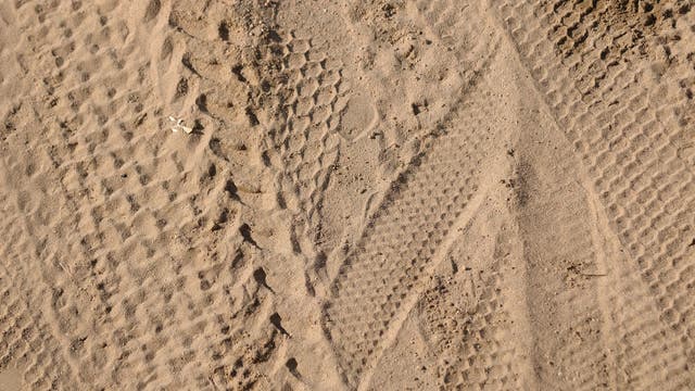 Veterans can take a free ORV ride at Holly Oaks next week