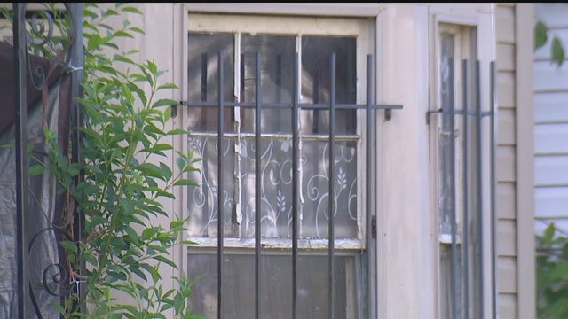 Detroit animal hoarding case leads to hazmat rescue, several dogs and cats found dead