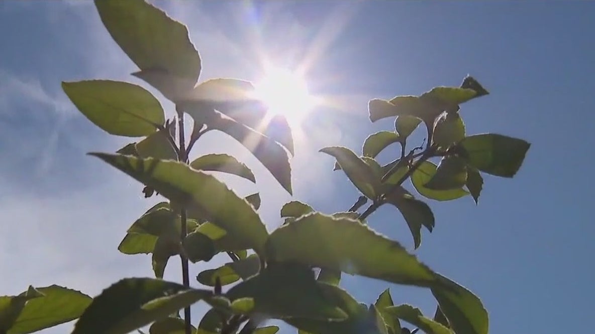 Full list of Detroit cooling centers open during heat wave
