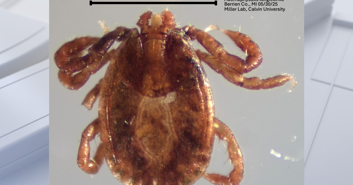Fox File Tick Species of tick never seen in Michigan discovered at state park -- What ...