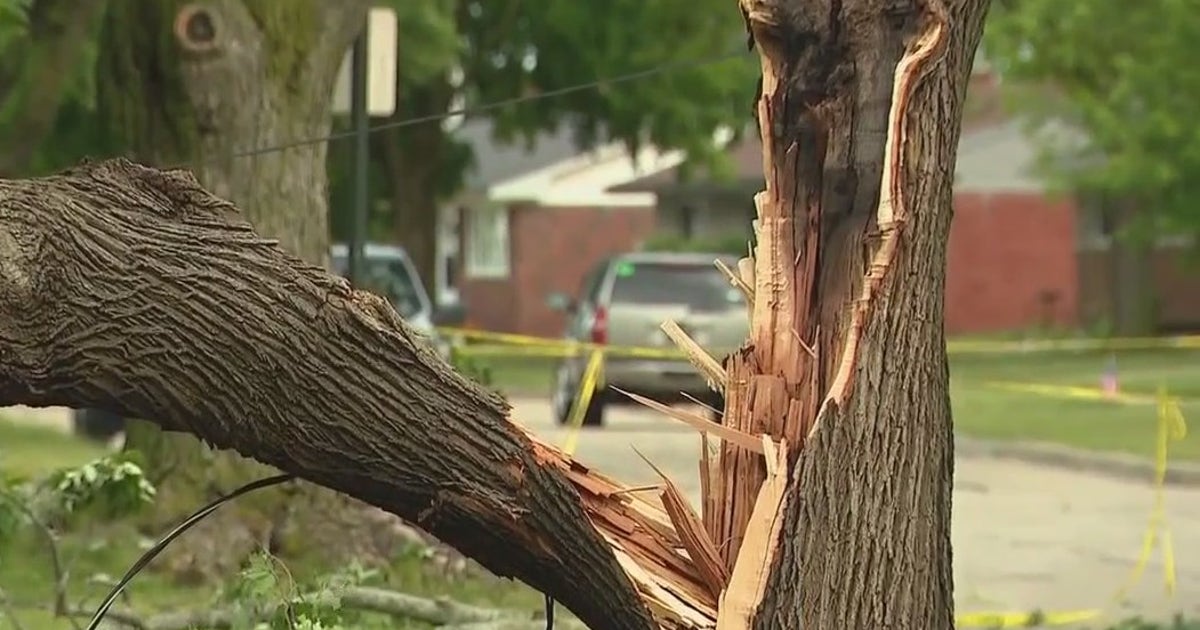 Metro Detroit experiences damage amid tornado, severe weather | FOX 2 ...