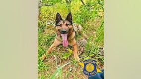Michigan State Police K-9 finds break-in suspect after 5-mile track