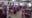 Michigan Planet Fitness free for all in Michigan this weekend