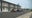 Over 50 cats found in Farmington Hills motel room