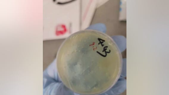 Second Chinese National charged with smuggling biological materials into US at Metro Airport