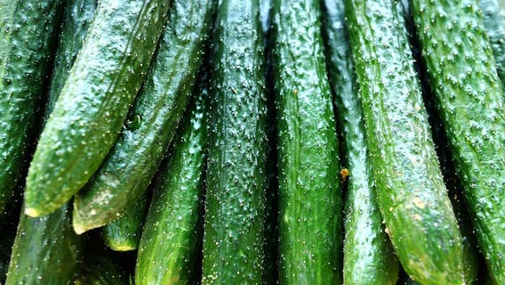 Sushi, salads, vegetable trays containing cucumber recalled over possible salmonella contamination