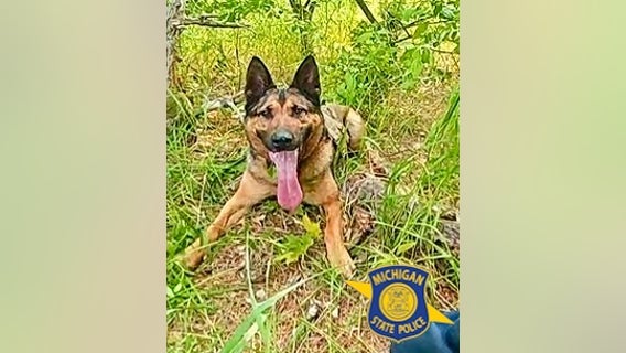 Michigan State Police K-9 finds break-in suspect after 5-mile track