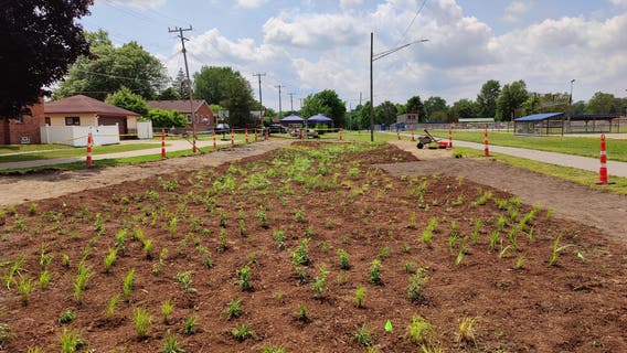 Redford Township's new rain garden will prevent flooding, soak up gallons of stormwater