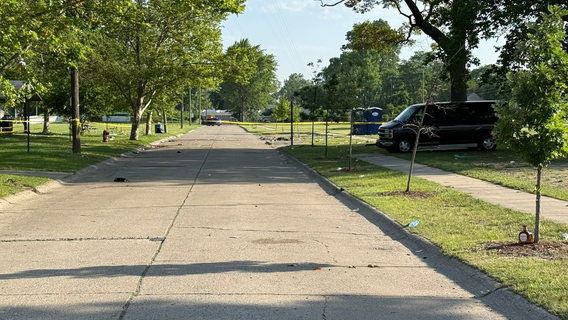 1 dead, 3 injured during party at Royal Oak Twp Park