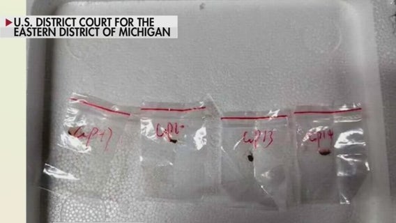 Chinese nationals investigation: MSU expert on alleged smuggled fungus