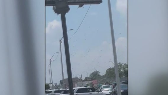 Helicopter rains cash onto Detroit street in honor of respected community member